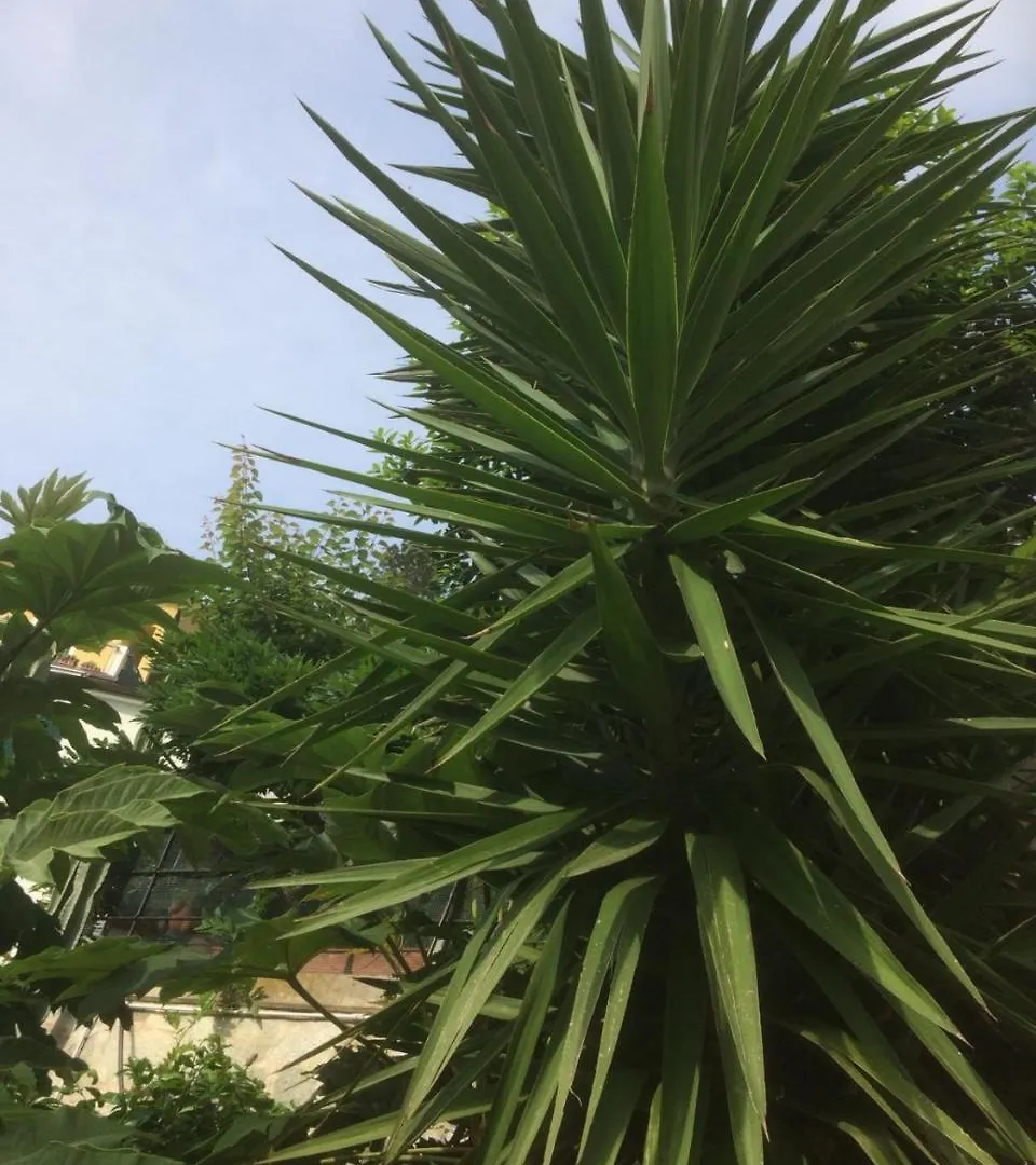 In Tracastello - Air Cond - Parking Not Included - Guest house